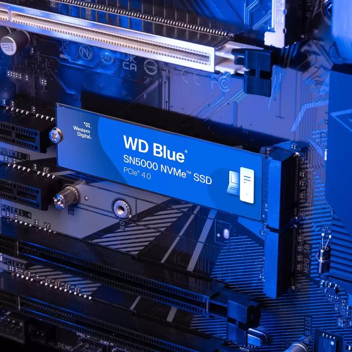 Actual product image WD Blue SN5000 (500 GB, M.2 2280)