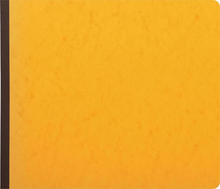 Actual product image Exacompta Business books (40x)