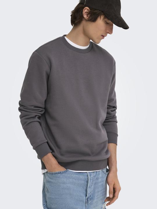 Actual product image Only & Sons Onsceres Crew Neck Noos (S)