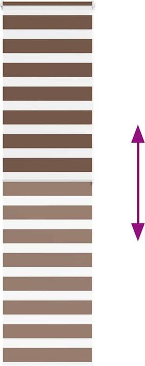 Produktbild vidaXL Zebra-Jalousie (65 x 200 cm)