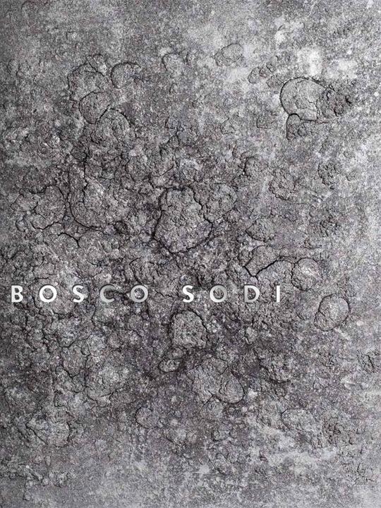 Produktbild Bosco Sodi (Deutsch, Jürgen Krieger, 2014)