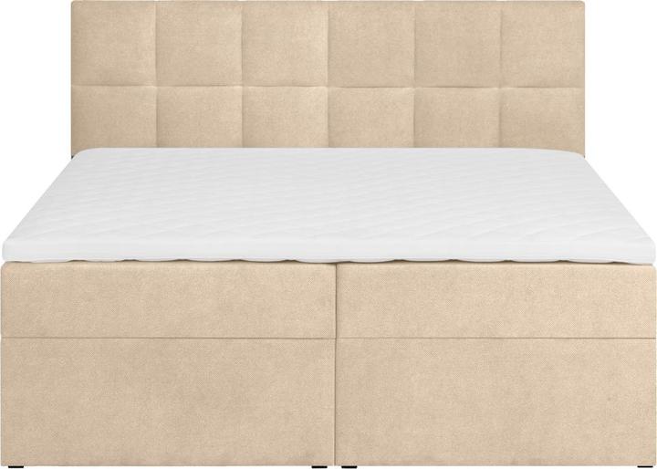 Image du produit Livetastic Lorie (180 x 200 cm)