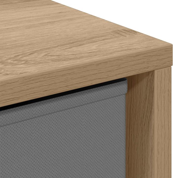 Image du produit vidaXL Sideboard (25.50 x 22 x 69.50 cm)