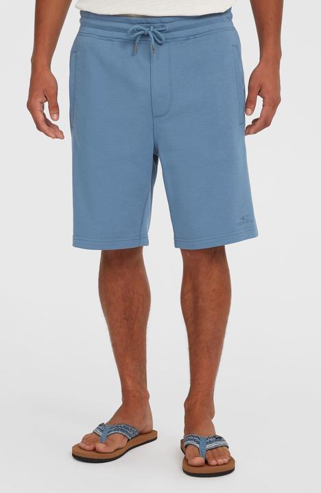 Actual product image O'Neill Small Logo Sweatshorts (S)