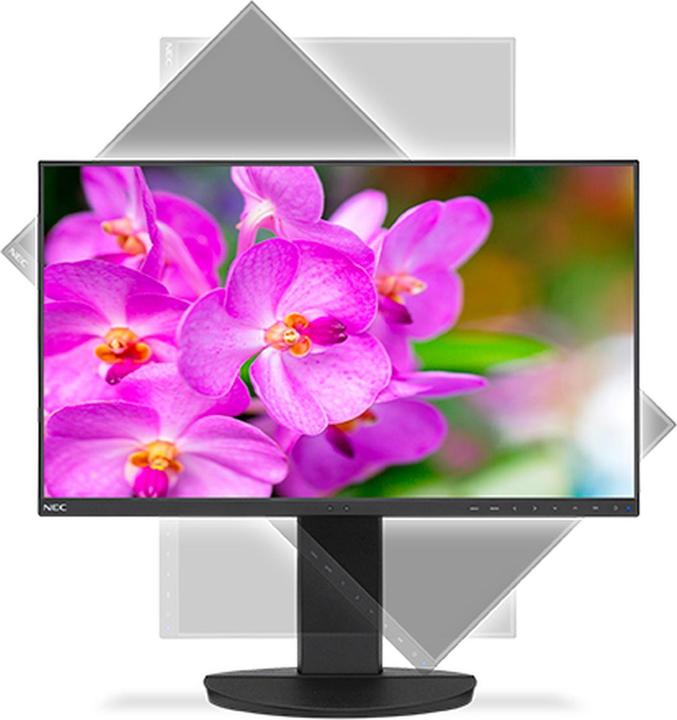 Actual product image NEC MultiSync EA241F (1920 x 1080 pixels, 24")
