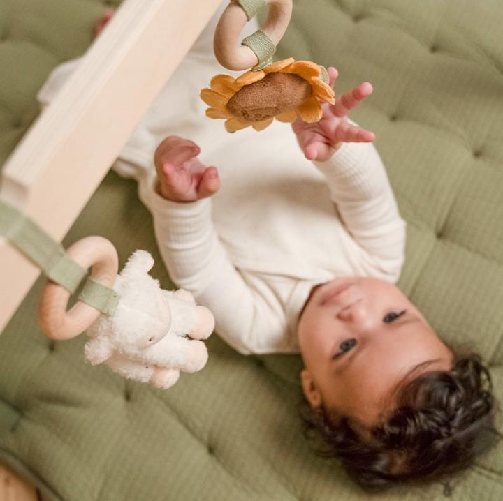 Immagine prodotto Little Dutch Gioca al trapezio