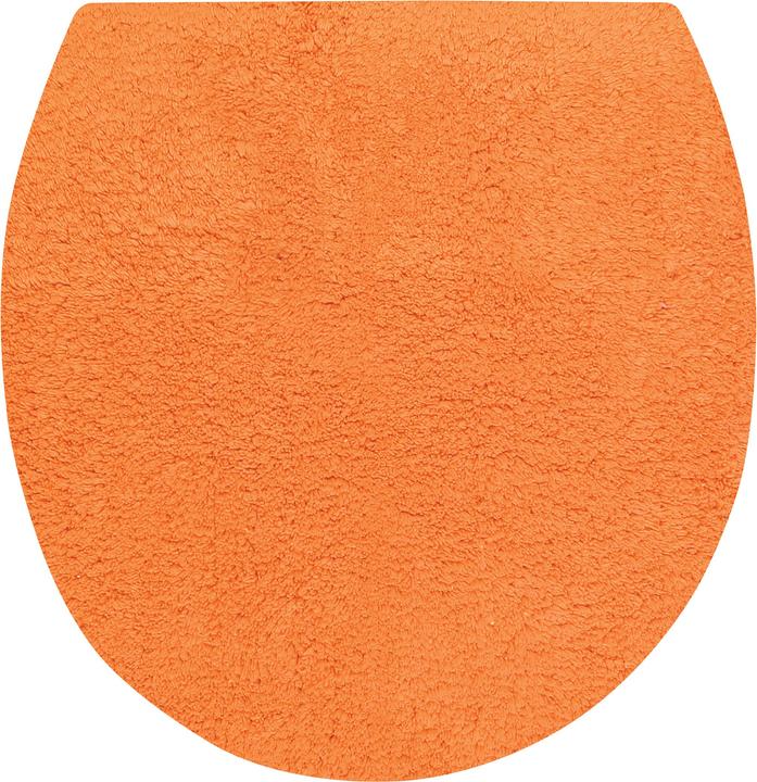 50 x 75 cm