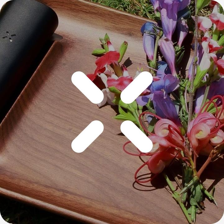 Actual product image Pax Labs PAX Mouthpiece flat (2 x)