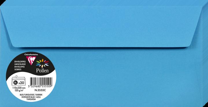 Actual product image Pollen Envelopes (110 x 220 mm, 20 x)