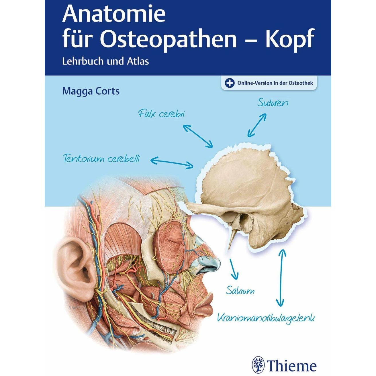 Anatomie für Osteopathen - Kopf, Fachbücher von Magga Corts