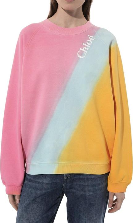 Actual product image Chloé Chloeu2019 Sweatshirt (S)