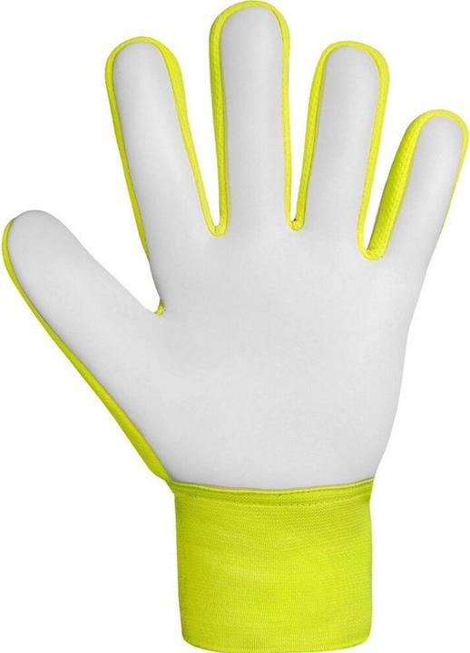 Produktbild Reusch Attrakt Starter Solid Jr Torwarthandschuhe (6.5)
