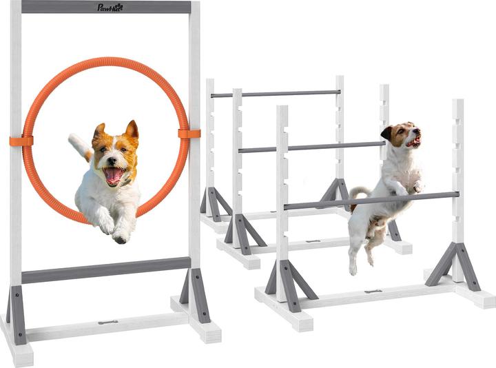 PawHut Agility Set Tannenholz, Kunststoff Weiss (Agility)