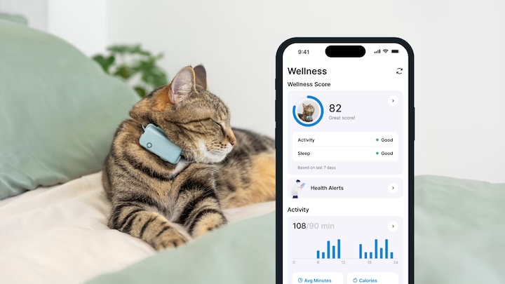 Immagine prodotto Tractive GPS Mini (Taglia unica, Gatto, Generale)