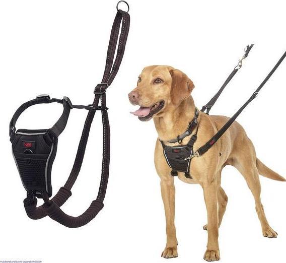 Produktbild Company of Animals Halti No Pull Antizug S Harness (S, Hund, Hundesport)