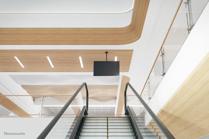 Produktbild Neomounts FPMA-C050Black (Decke, 30", 20 kg)