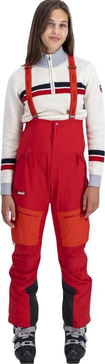 Immagine prodotto Swix Surmount (M)