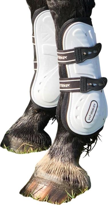 Produktbild Gamaschen Bingley 4erPack