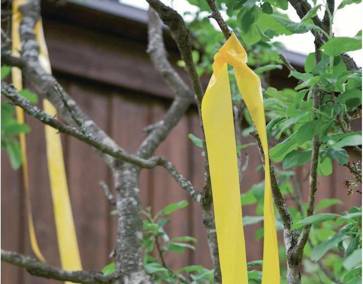 Produktbild Windhager Vogelschreckband