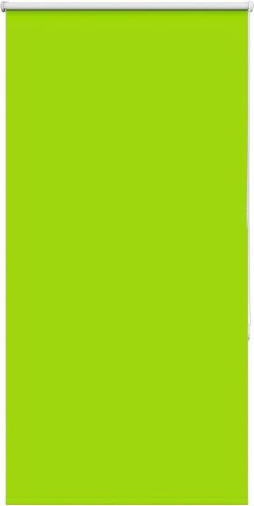 Vert
