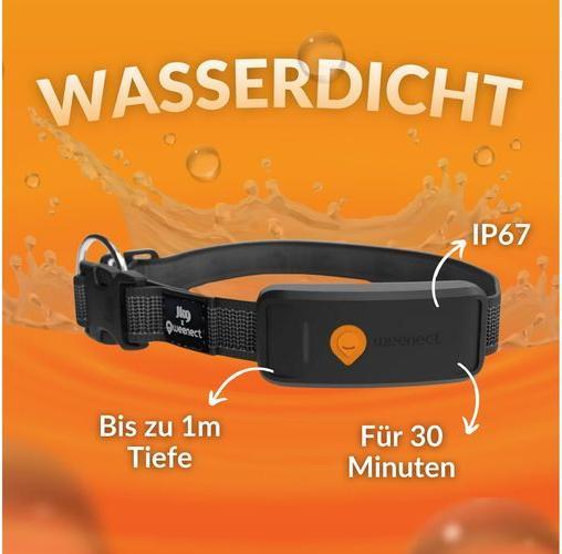 Image du produit Weenect Traceur GPS pour chiens (Chien, Général)
