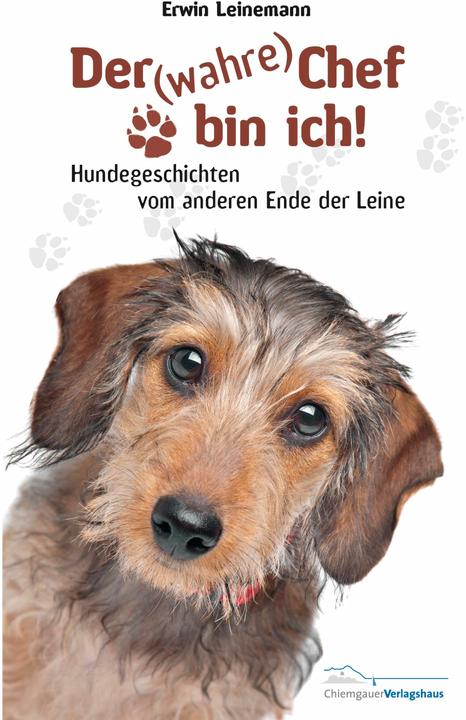 Produktbild Der (wahre) Chef bin ich! (Deutsch, Erwin Leinemann, 2014)