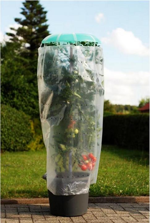 Image du produit Neogard Maison pour tomates, set complet de 2 pièces