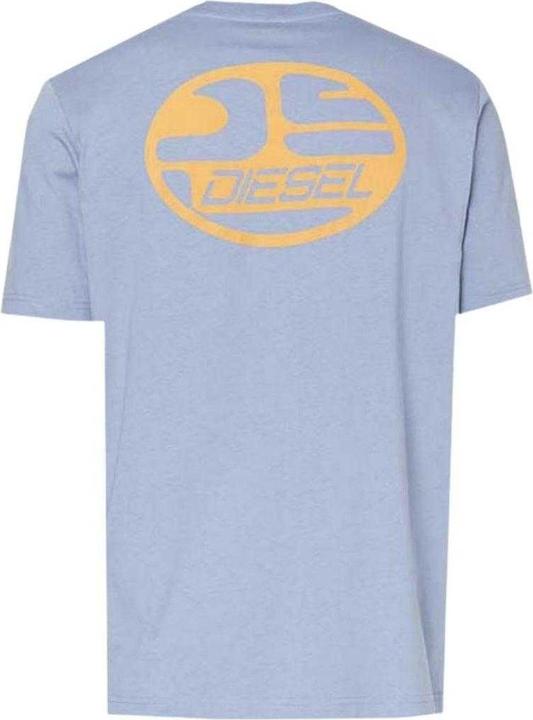 Produktbild Diesel TShirt Logo Stein Gewaschen (XXS)