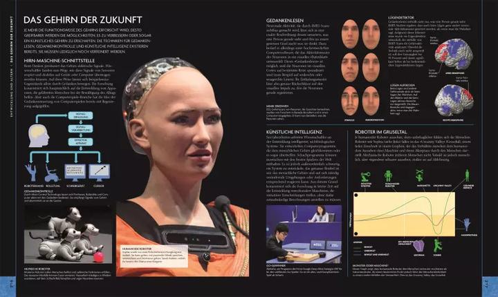 Actual product image Das Gehirn (German, Rita Carter, 2019)