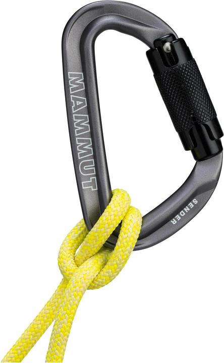 Actual product image Mammut Transmitter Twistlock Carabiner