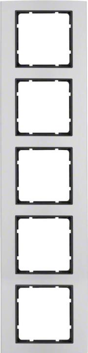 Actual product image Berker Frame