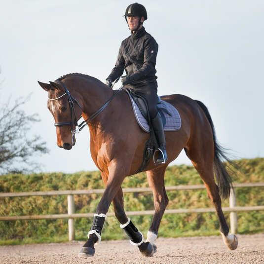 Image du produit Horze Signature