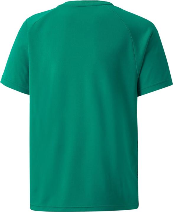 Immagine prodotto Puma maglia a righe teamLIGA Jr-704927 (164)