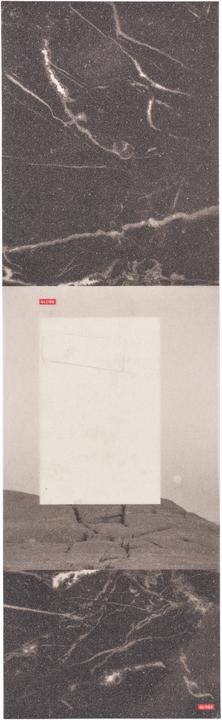 Globe Griptape Perforato Confezione Da 10