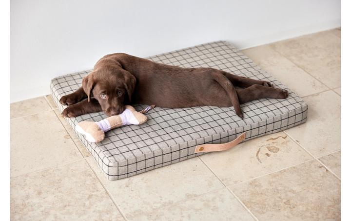 Immagine prodotto Oyoy Milo (Cane)