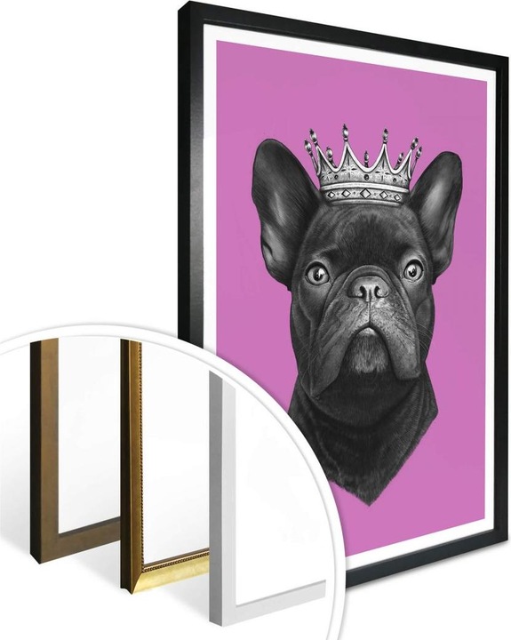 Immagine prodotto Trenddeko Re bulldog francese rosa (50 x 60 cm)