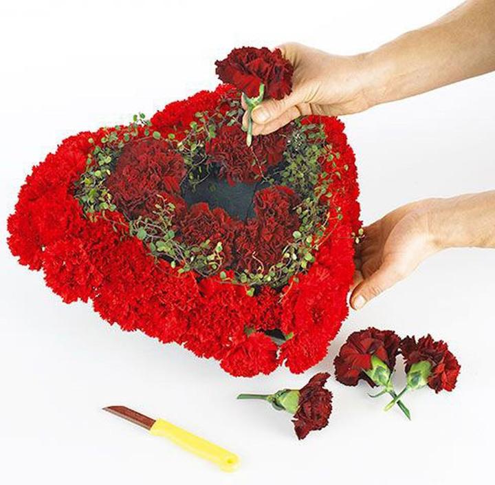 Actual product image Oasis BIOLIT Hearts