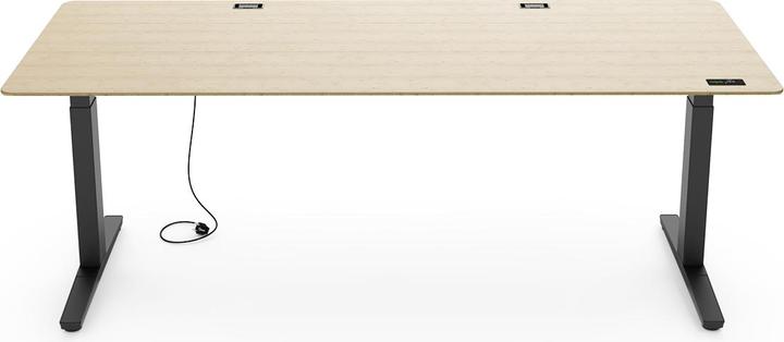 Immagine prodotto Yaasa Desk Expert (160 x 80 cm)
