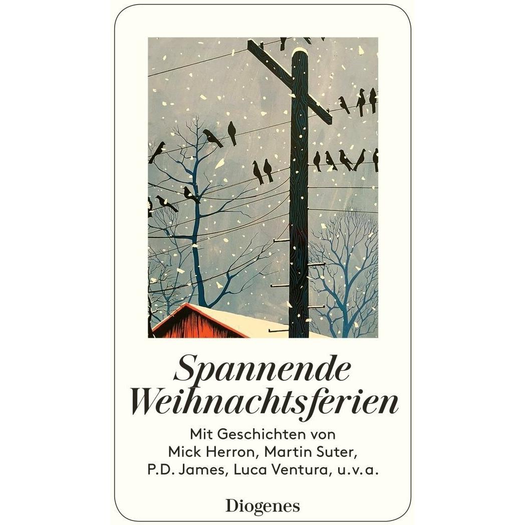 SpannendeWeihnachtsferien, Belletristik von Diverse Autoren