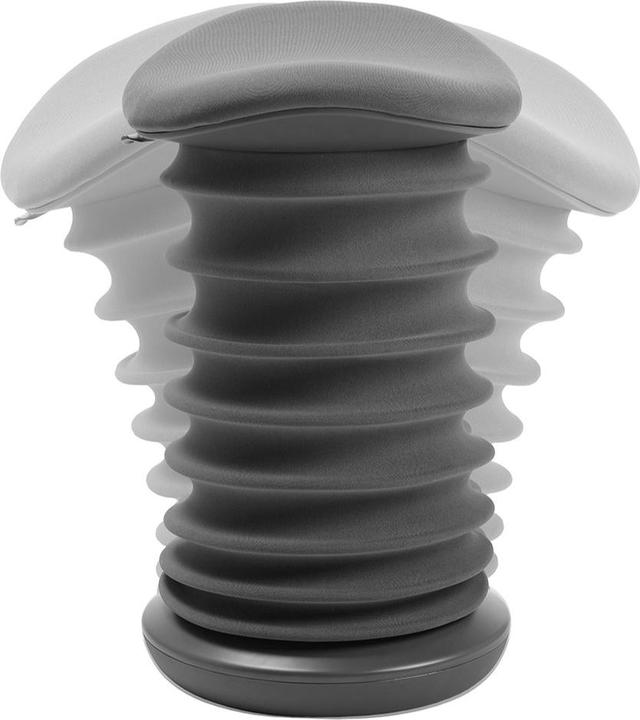 Image du produit Topstar Sitness 4D (53 - 64 cm)
