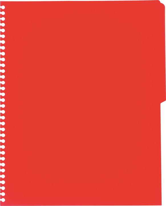 Actual product image Oxford Activebook (A4, Checked, Soft cover)