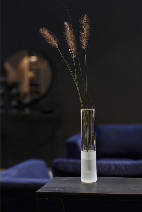 Actual product image Leonardo Novara (4x)