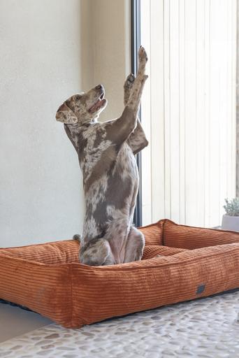 Immagine prodotto Designed by Lotte Liegebett Ribbed (Cane)
