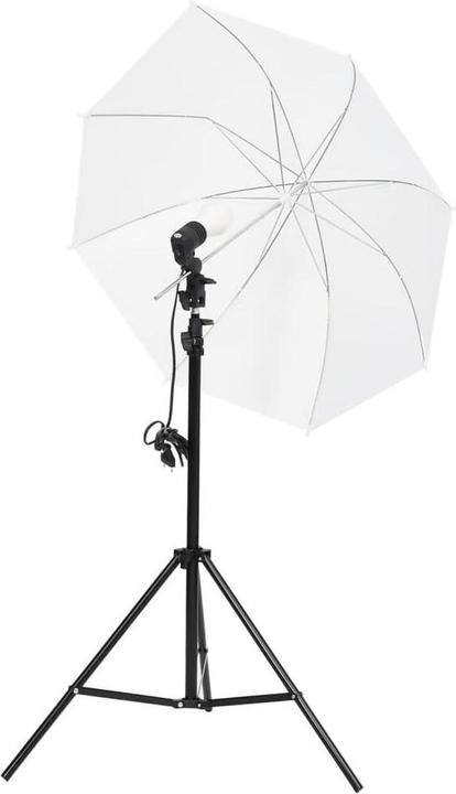 Immagine prodotto vidaXL Meryl (300 cm, 210 cm)