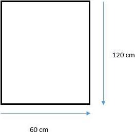 Productafbeelding Domoletti SPIEGEL OPGEHANGEN EENVOUDIG C-RAND 120X60 CM (120 x 60 cm)