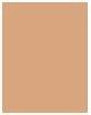 Actual product image Shiseido Sports BB (Medium Fluid)