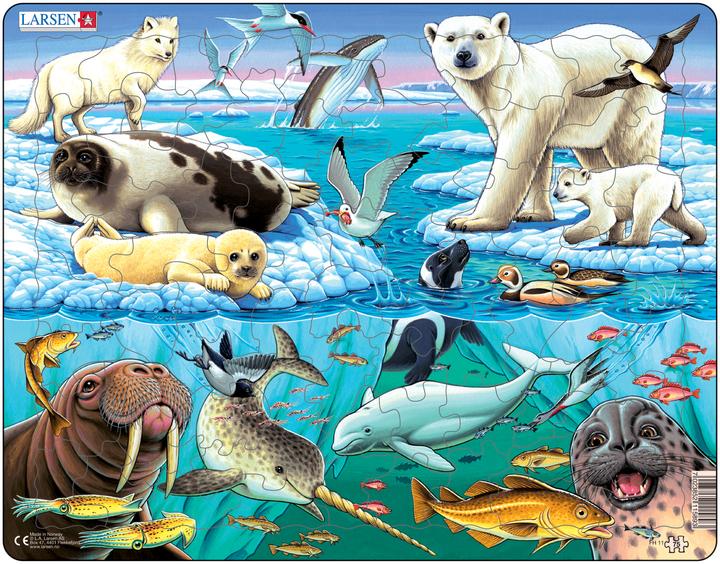 Actual product image Larsen Arctic ice (75 pieces)