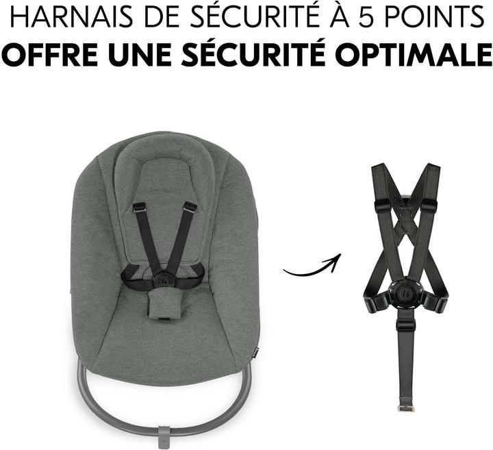 Actual product image Hauck Alpha Bouncer