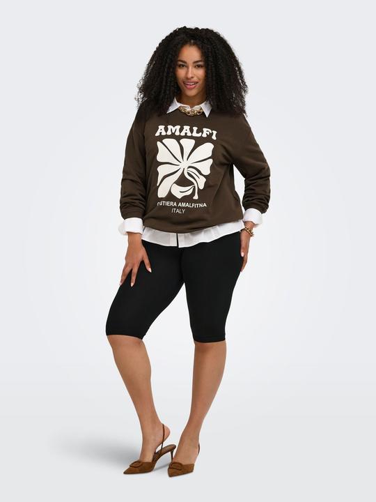 Image du produit Only CARESMARA Sweatshirt Sweatshirt (46)