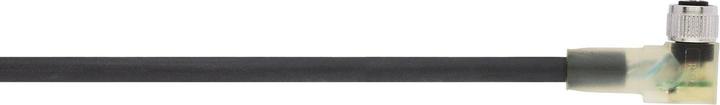 Actual product image Lapp AB-C3-10,0PUR-M8FA-2L